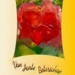 Beterschap