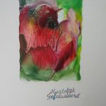 Kaart 11,5 x 16,5 cm