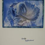 Schilderijkaart A4