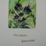 Beterschap
