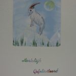 Steenbok