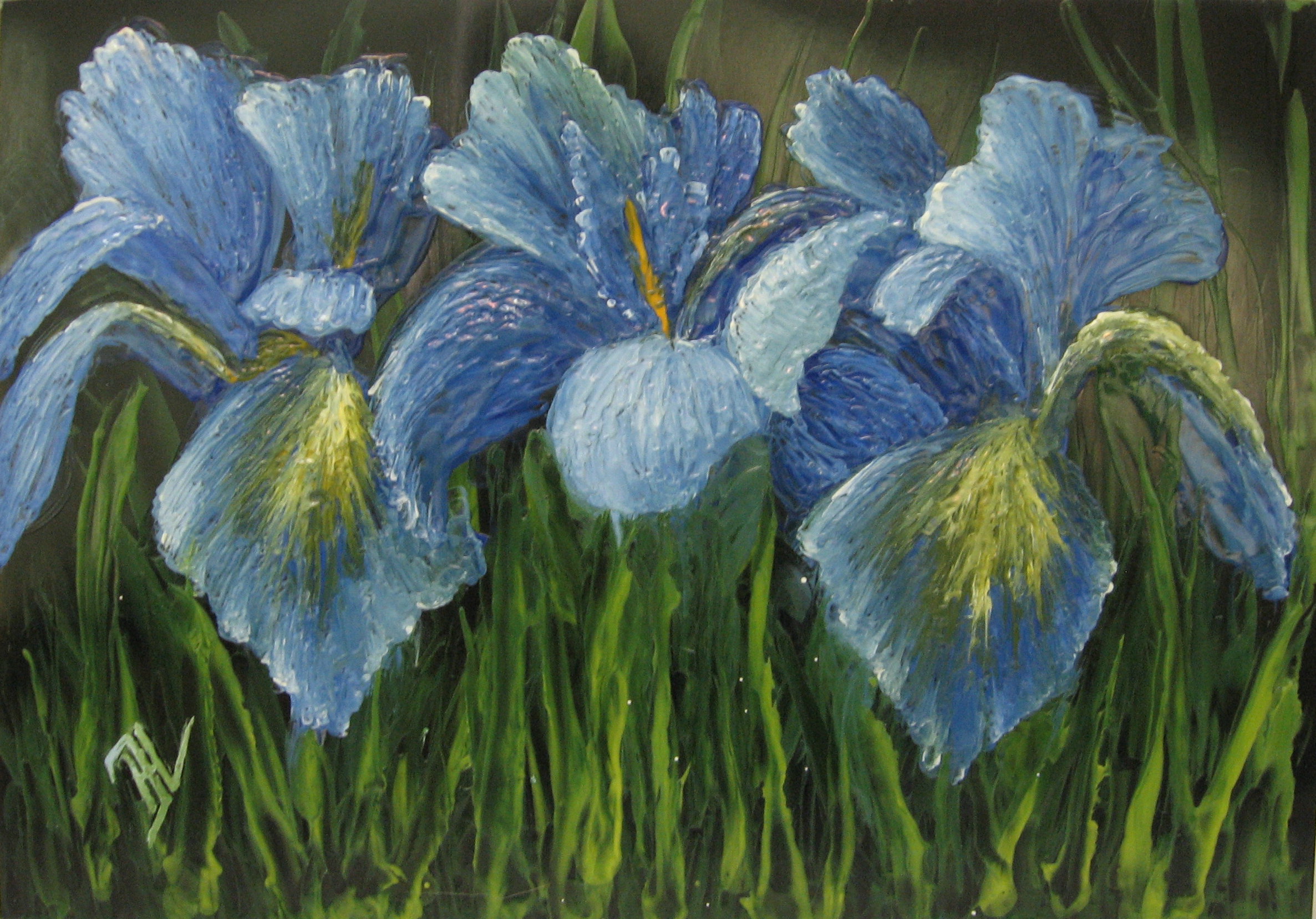 Blauwe iris