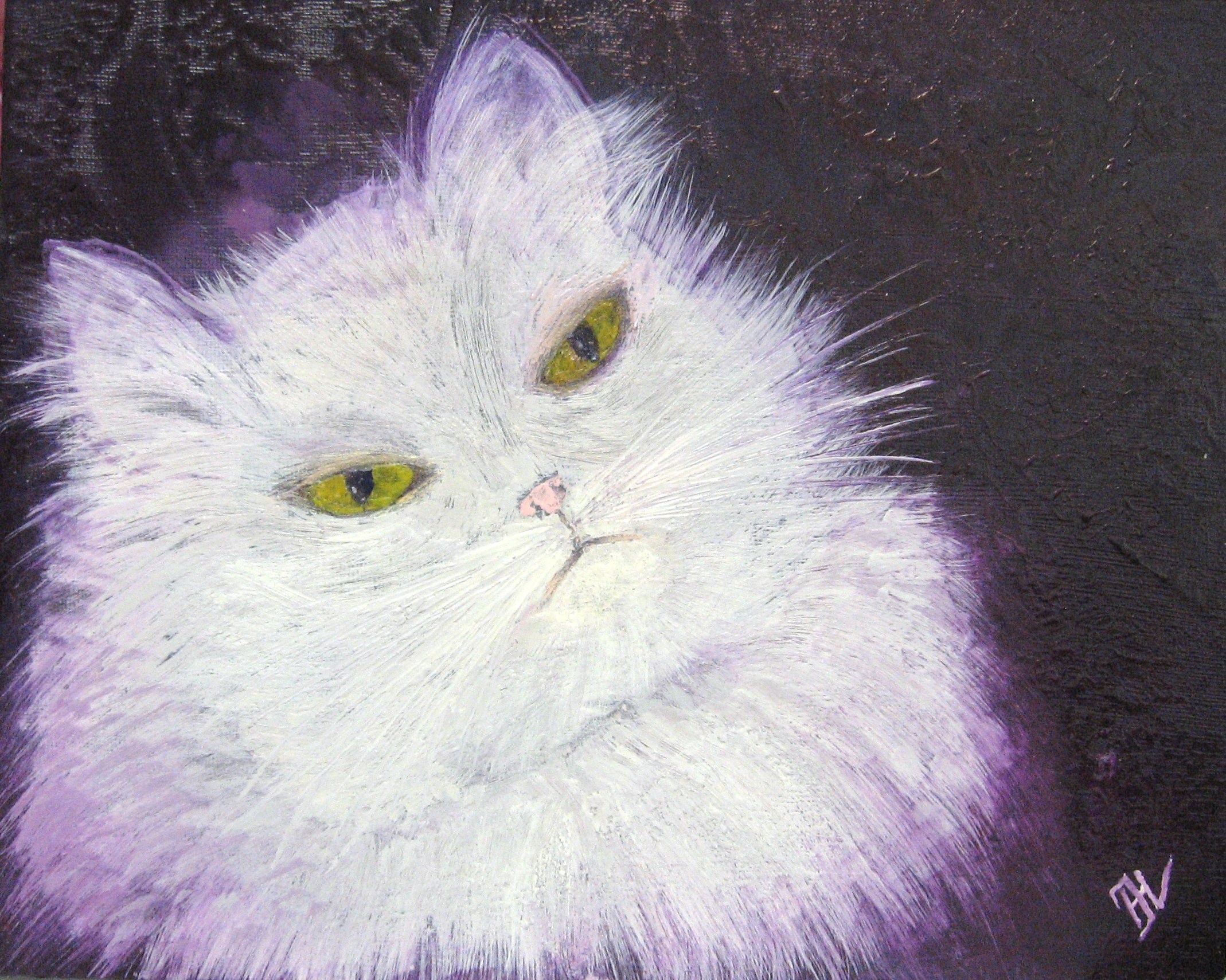 Brutale kater
