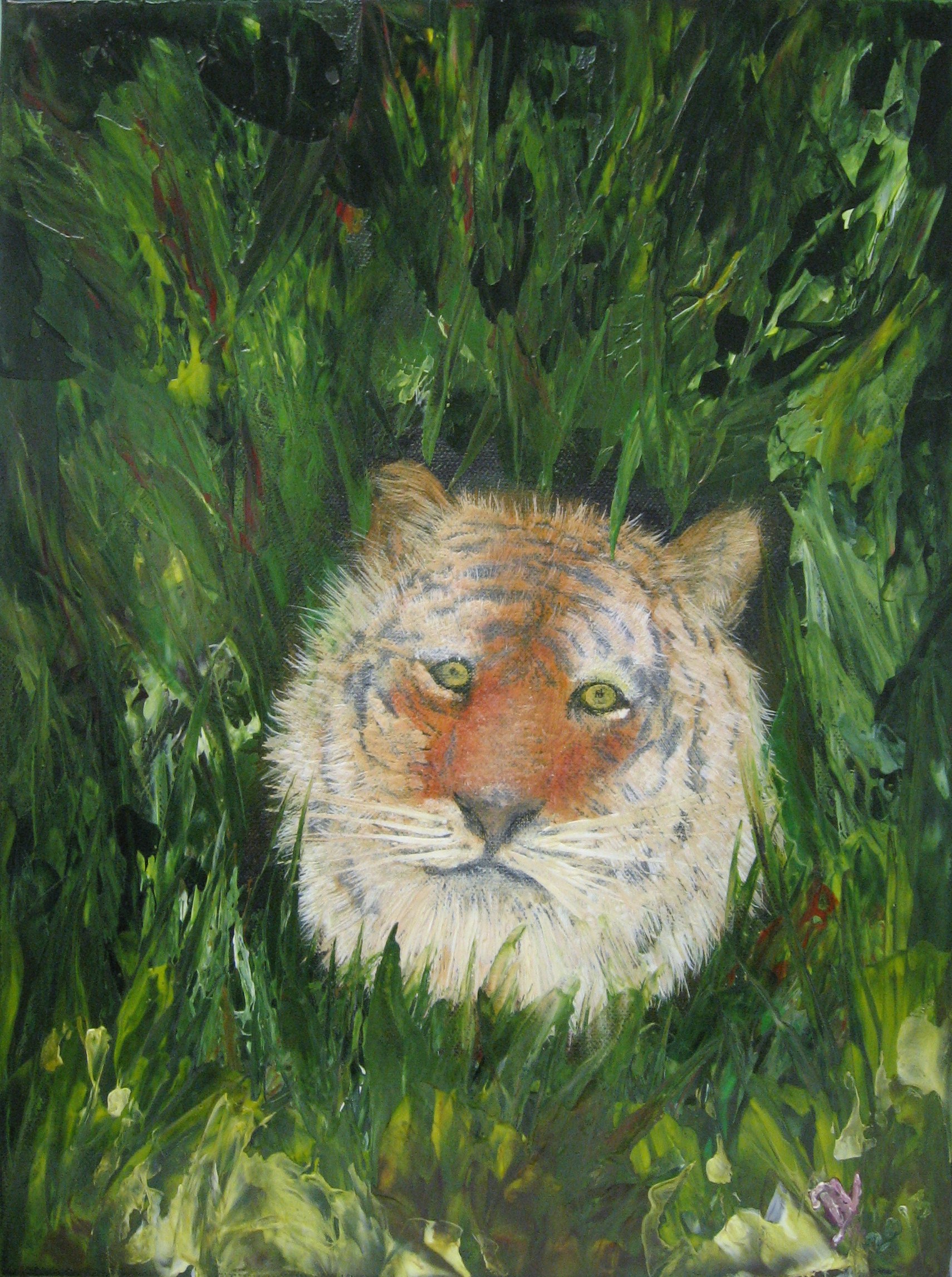Jungle Tijger