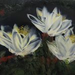 Magnolia