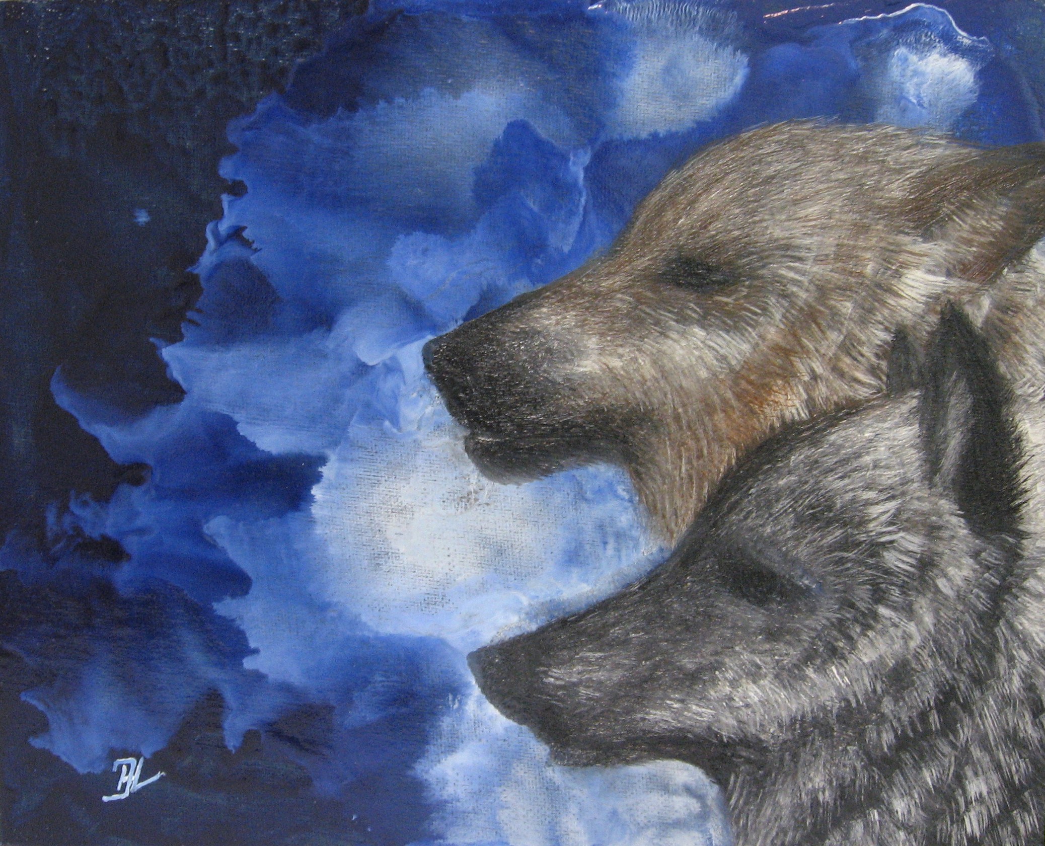 Wolves by night