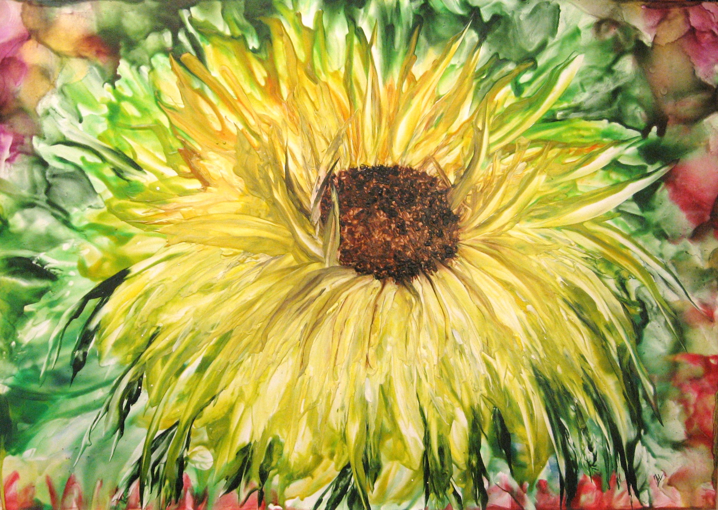 Zonnebloem