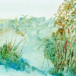 Waterlandschap