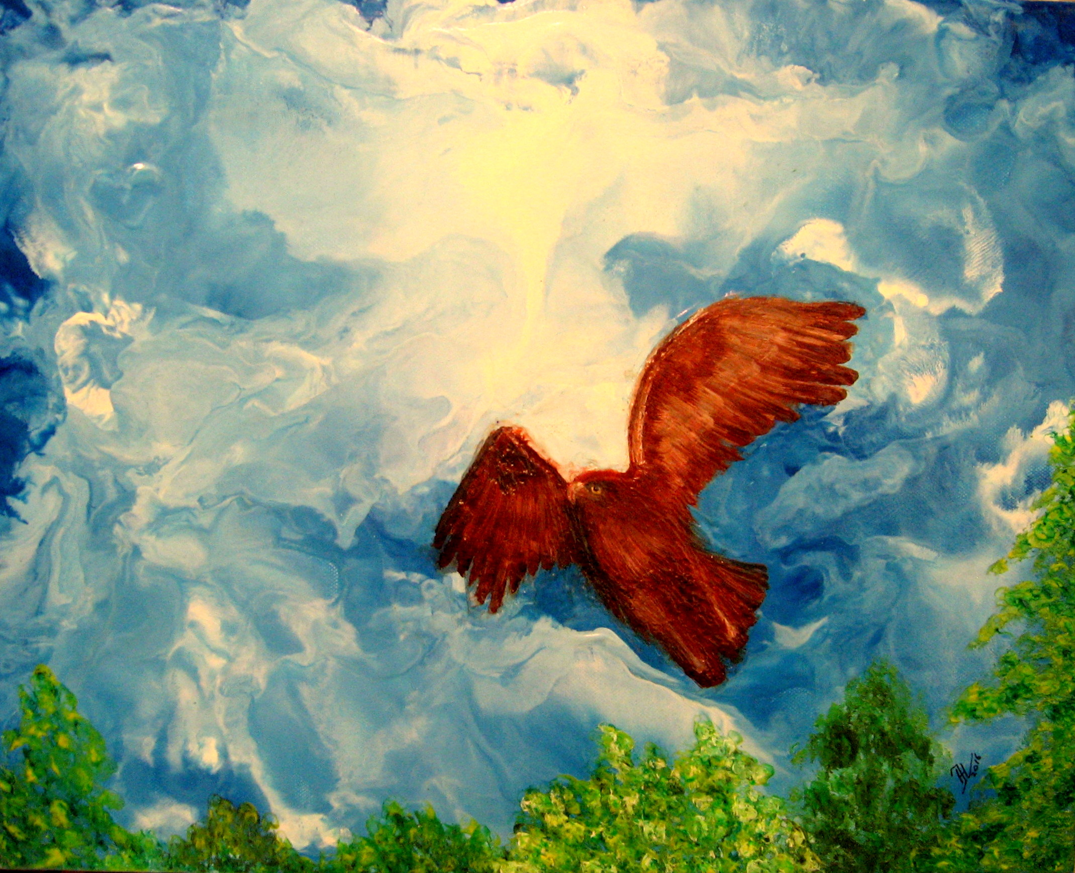 Hawk in the sky
