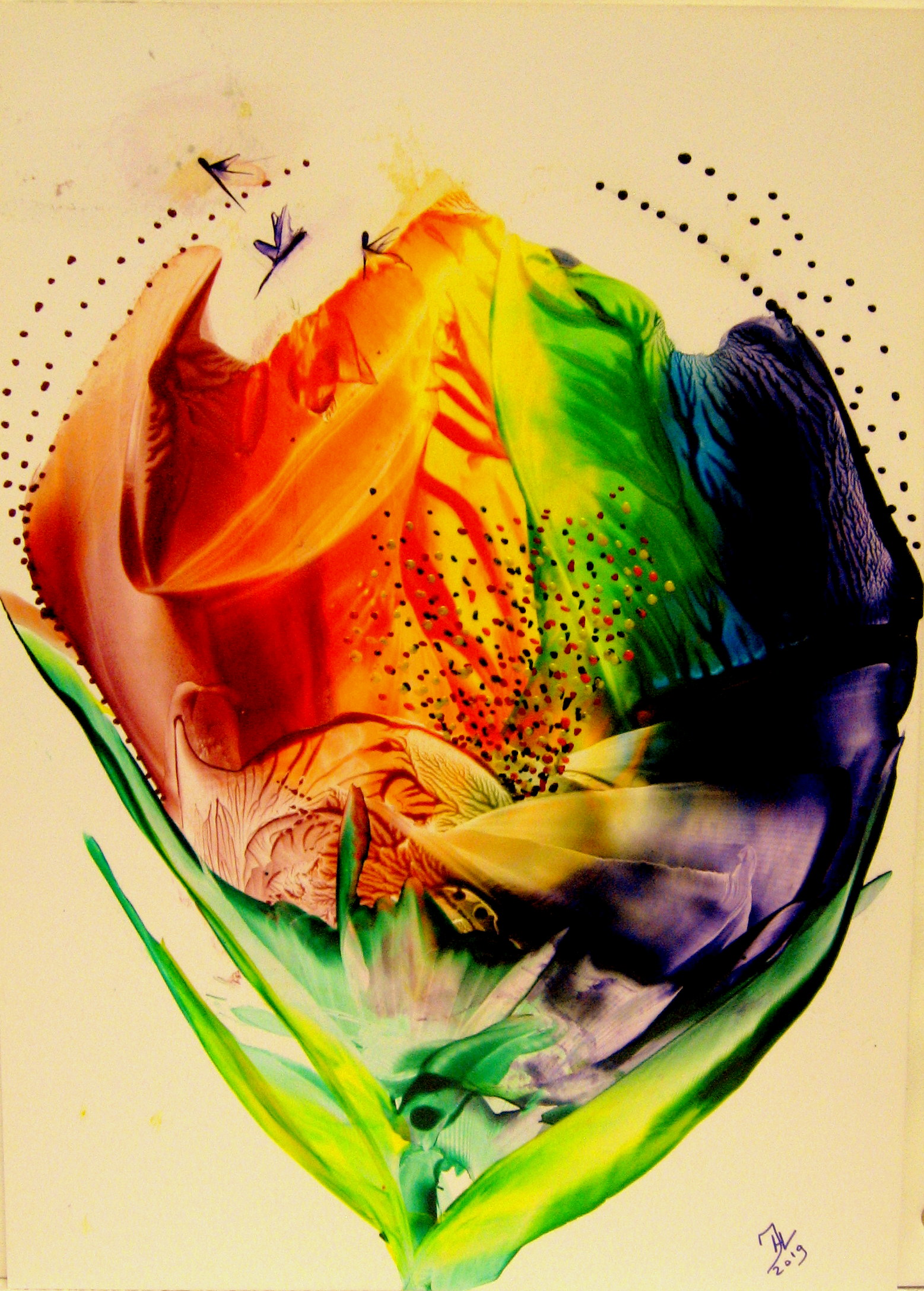 Regenboogbloem