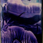 Mobiel back encover kaart